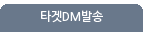 타겟DM발송